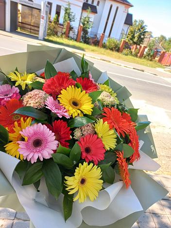 Букет цветов из: Герберы в Гирьях